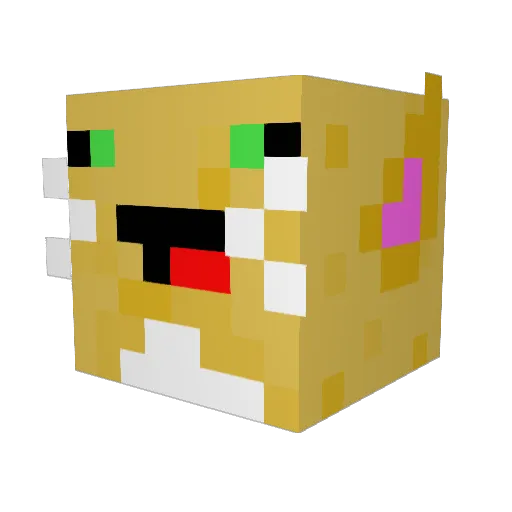 tovah2 Minecraft avatar head, 3D render