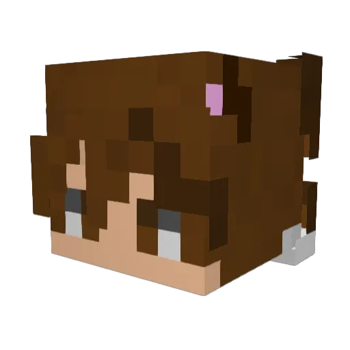 towelsky Minecraft avatar head, 3D render