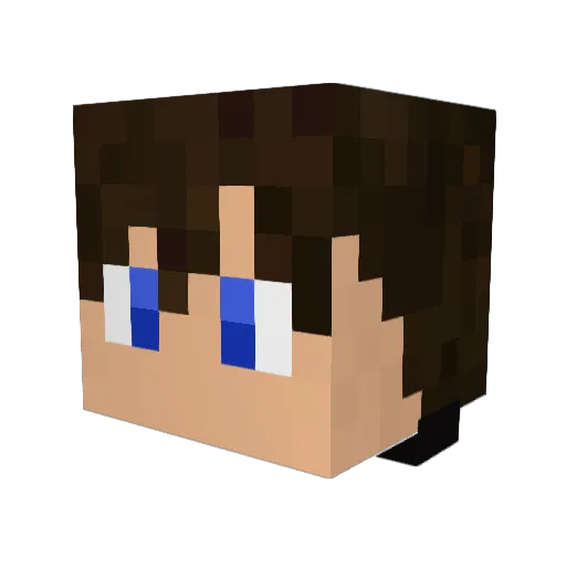 toxbuscus Minecraft avatar head, 3D render