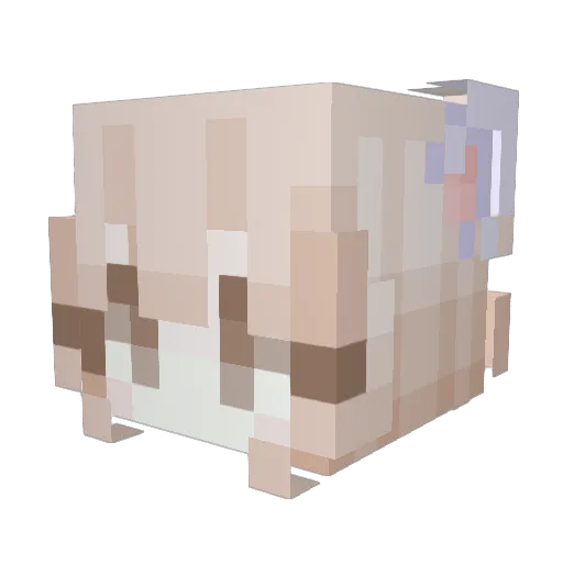 toxci Minecraft avatar head, 3D render