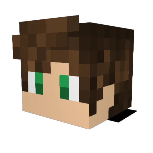 toxic707 Minecraft avatar head, 3D render
