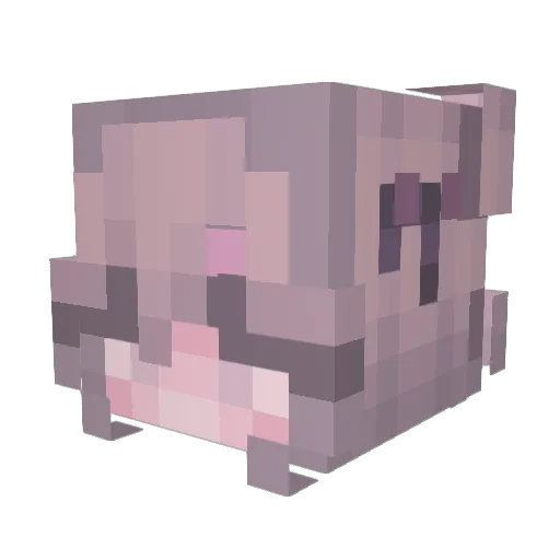 toxic_blur Minecraft avatar head, 3D render