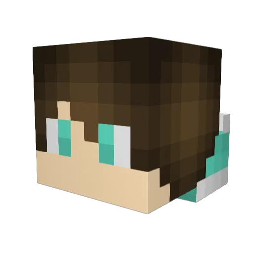 toxic_kid805 Minecraft avatar head, 3D render
