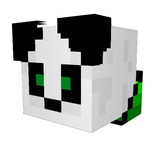 toxicbandit1 Minecraft avatar head, 3D render