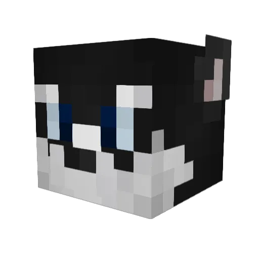 toxicityrat Minecraft avatar head, 3D render