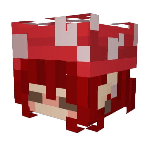 toxicjb7910 Minecraft avatar head, 3D render
