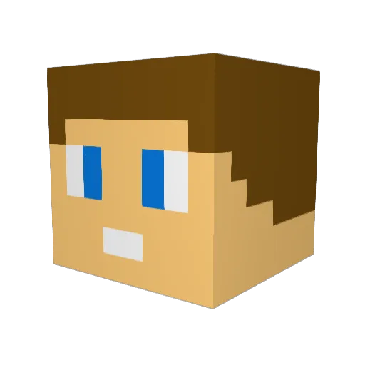 toxicnemi Minecraft avatar head, 3D render