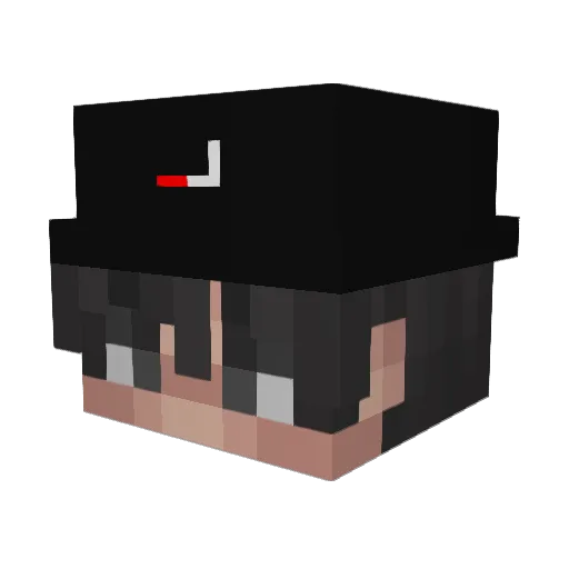 toxicosis Minecraft avatar head, 3D render