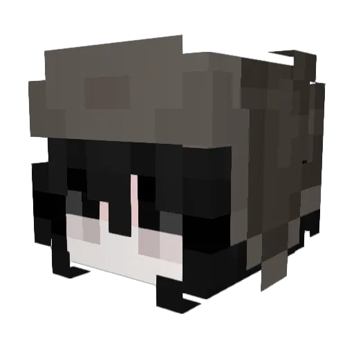 toxicpsycho6500 Minecraft avatar head, 3D render