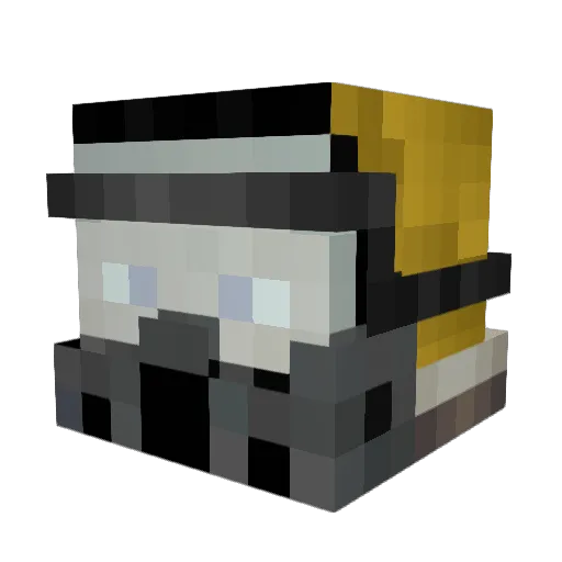 toxicwaste11995 Minecraft avatar head, 3D render