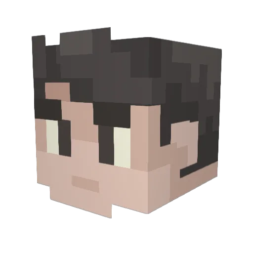 toxicwaste3072 Minecraft avatar head, 3D render