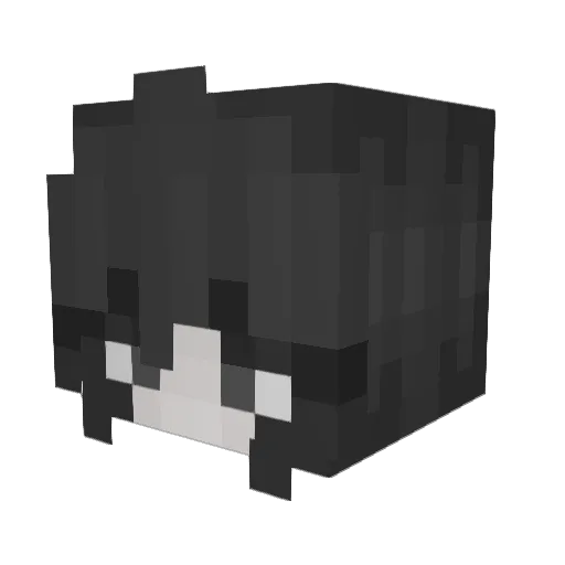 toxicwaste333 Minecraft avatar head, 3D render