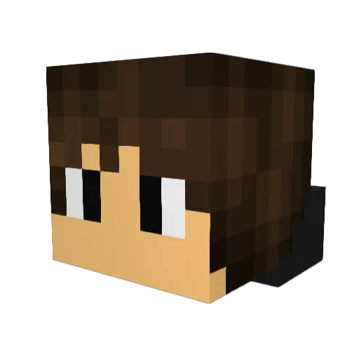 toxiicghost32 Minecraft avatar head, 3D render