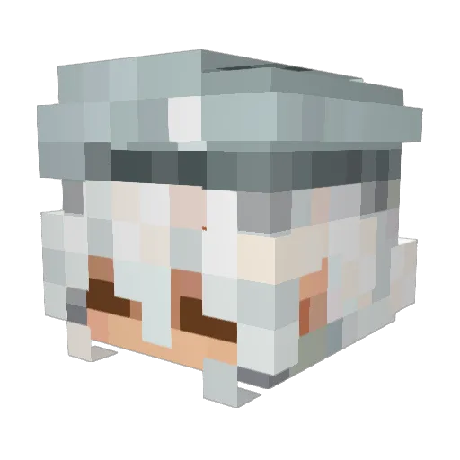 toxiko_ Minecraft avatar head, 3D render