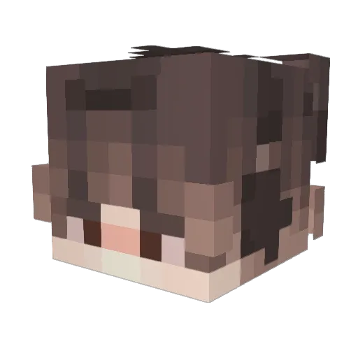 toxinar Minecraft avatar head, 3D render
