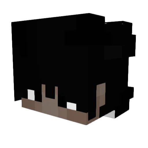 toxiq_btw Minecraft avatar head, 3D render