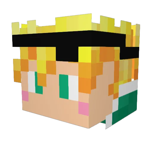 toxx12 Minecraft avatar head, 3D render