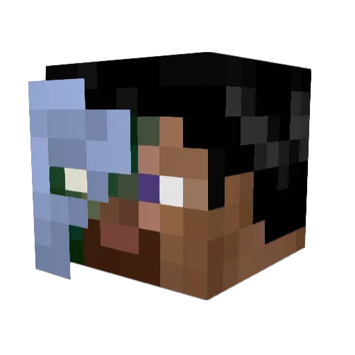 toyboy566 Minecraft avatar head, 3D render
