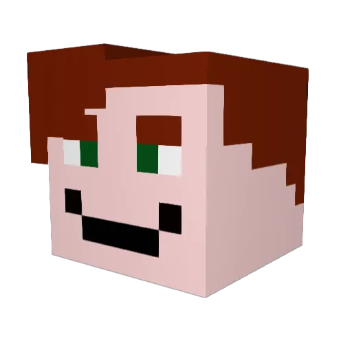 toz5824 Minecraft avatar head, 3D render