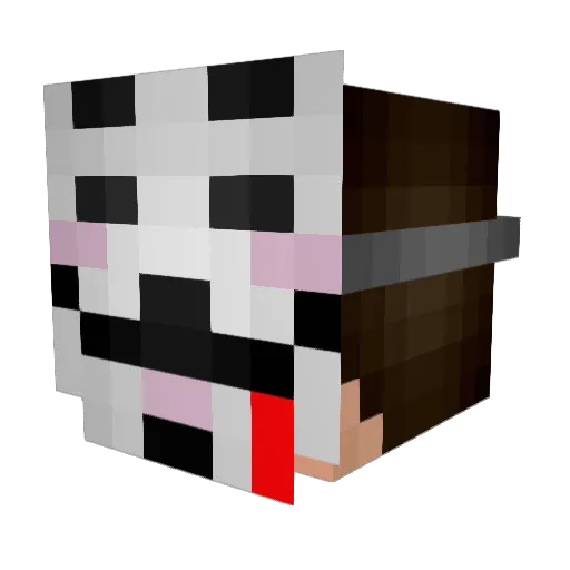 tpags24 Minecraft avatar head, 3D render