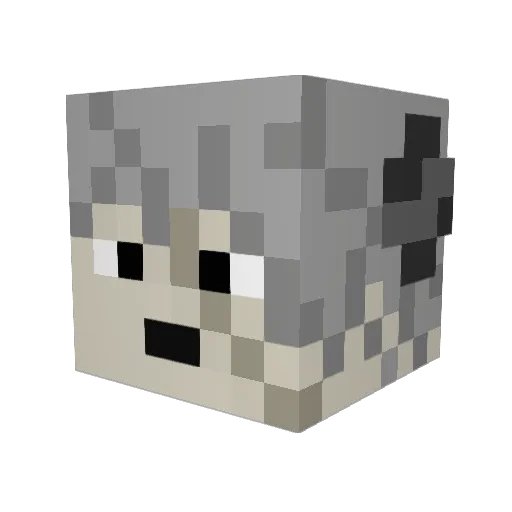 tpdc98 Minecraft avatar head, 3D render
