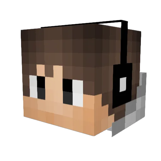 tpitty_4 Minecraft avatar head, 3D render