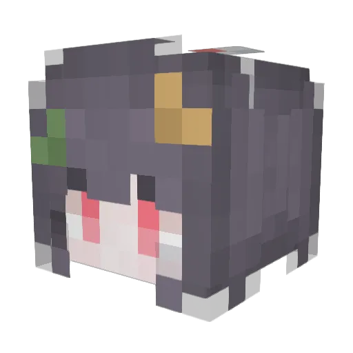 tpl520 Minecraft avatar head, 3D render