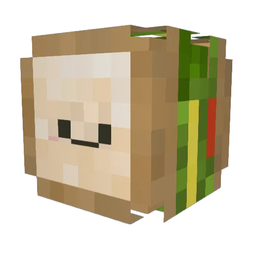 tplink_lover Minecraft avatar head, 3D render