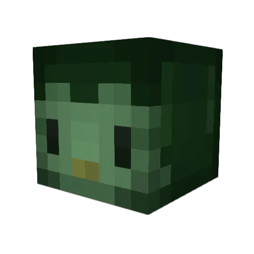 tplo Minecraft avatar head, 3D render