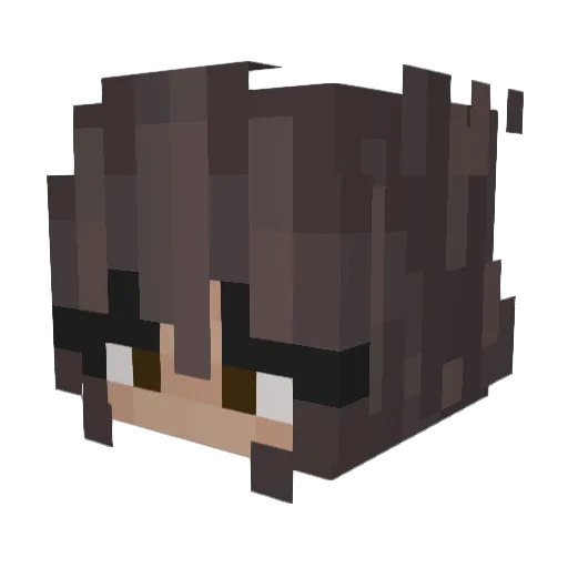 tpwk_hannah_ Minecraft avatar head, 3D render
