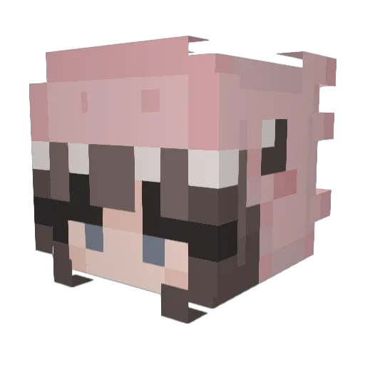 tpwkleia Minecraft avatar head, 3D render