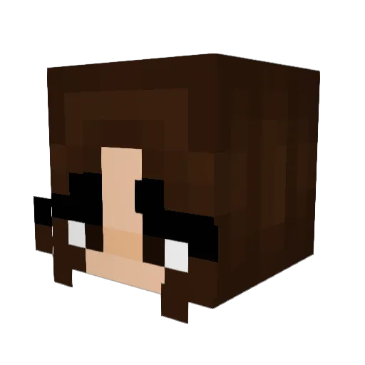 tpy10 Minecraft avatar head, 3D render