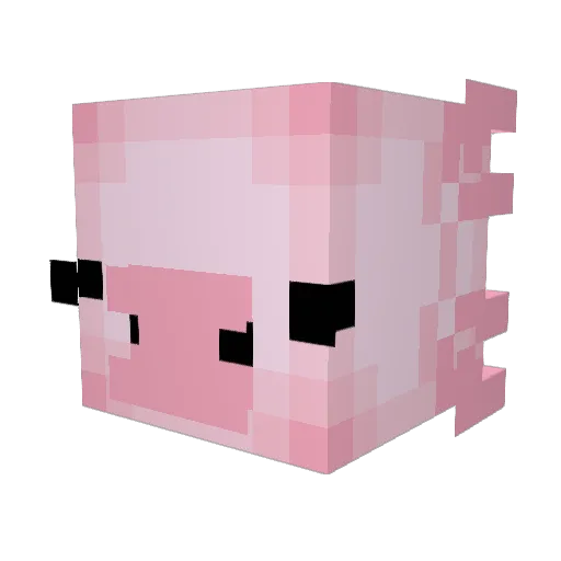 tpz9ls Minecraft avatar head, 3D render