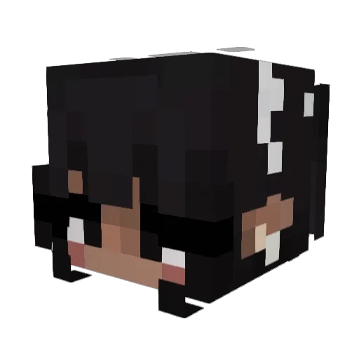tq_q Minecraft avatar head, 3D render