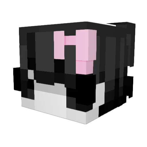 tqeo Minecraft avatar head, 3D render