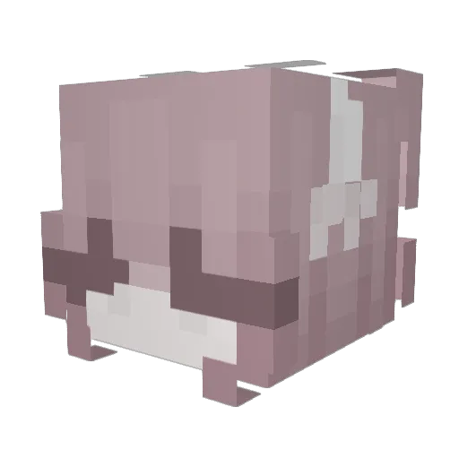 tqffy Minecraft avatar head, 3D render