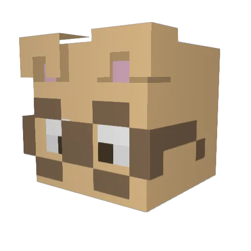 tqnes Minecraft avatar head, 3D render