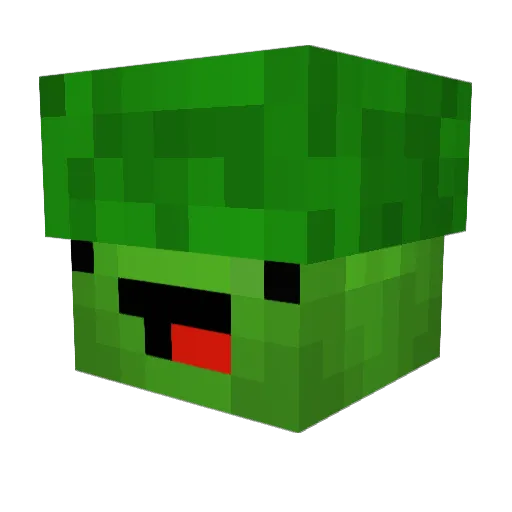 tqrtt Minecraft avatar head, 3D render