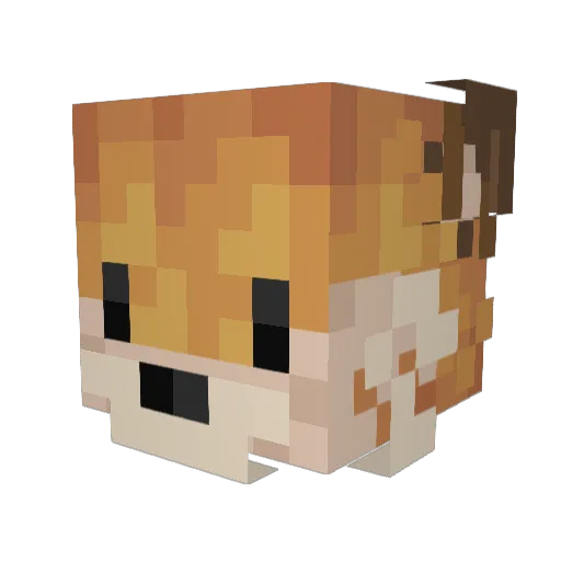 tr2723 Minecraft avatar head, 3D render