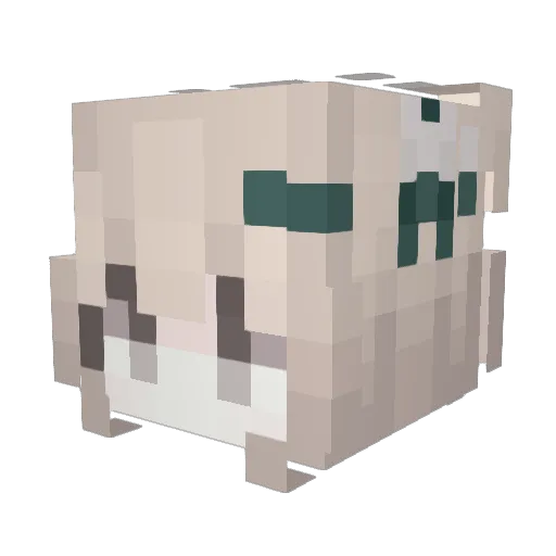 tr2m Minecraft avatar head, 3D render