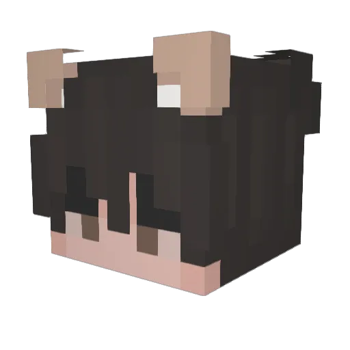 tr4shbunny Minecraft avatar head, 3D render