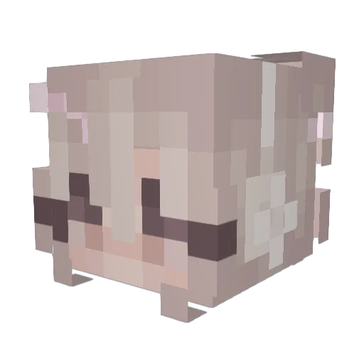 tr7nity Minecraft avatar head, 3D render