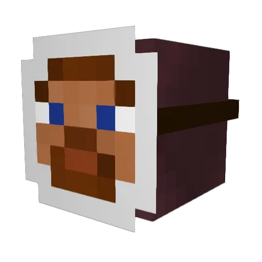 tr_tim Minecraft avatar head, 3D render