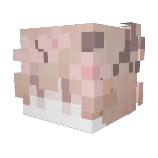 traXal9letky Minecraft avatar head, 3D render