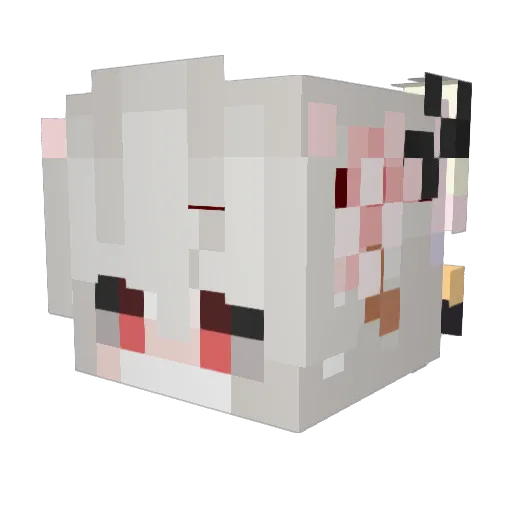 traang Minecraft avatar head, 3D render