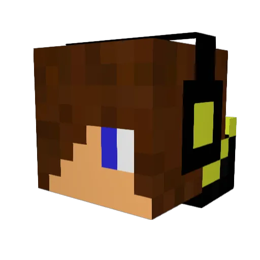 trac5 Minecraft avatar head, 3D render