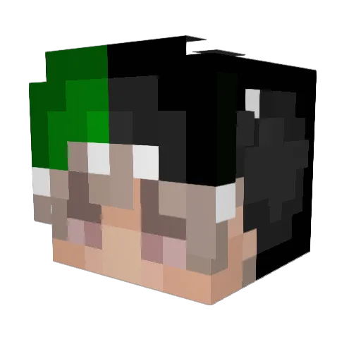 tracedotxd Minecraft avatar head, 3D render