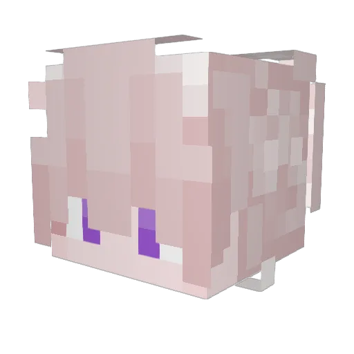 tracer14 Minecraft avatar head, 3D render