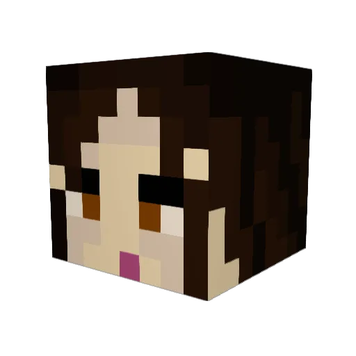 tracey_kelly3 Minecraft avatar head, 3D render