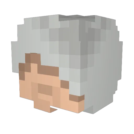 tracitus Minecraft avatar head, 3D render